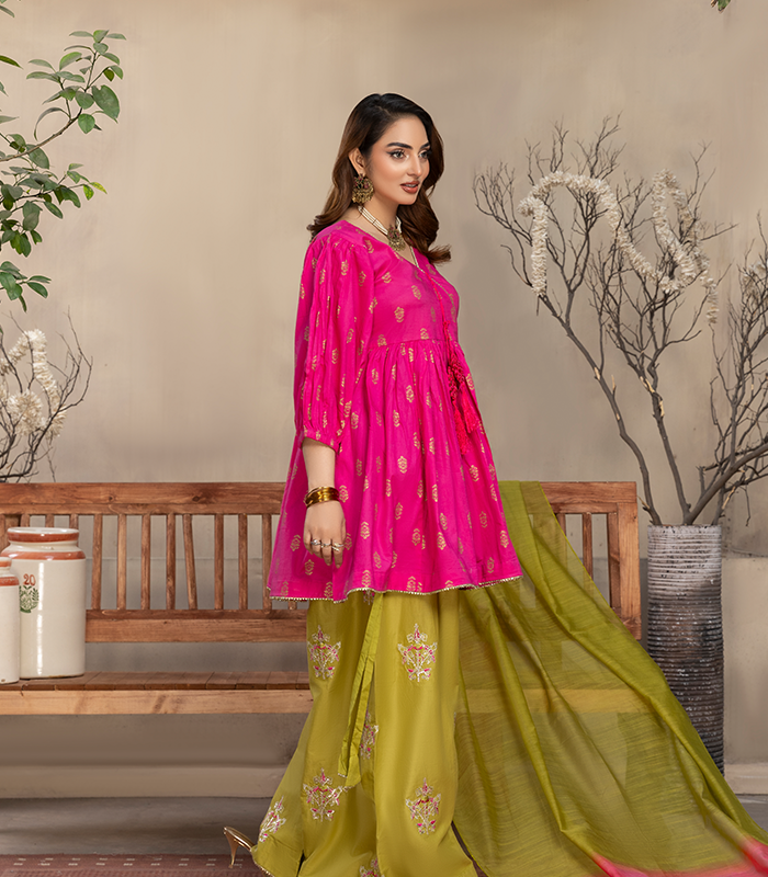 Mahveen Gulnaar Farshi Suit Set